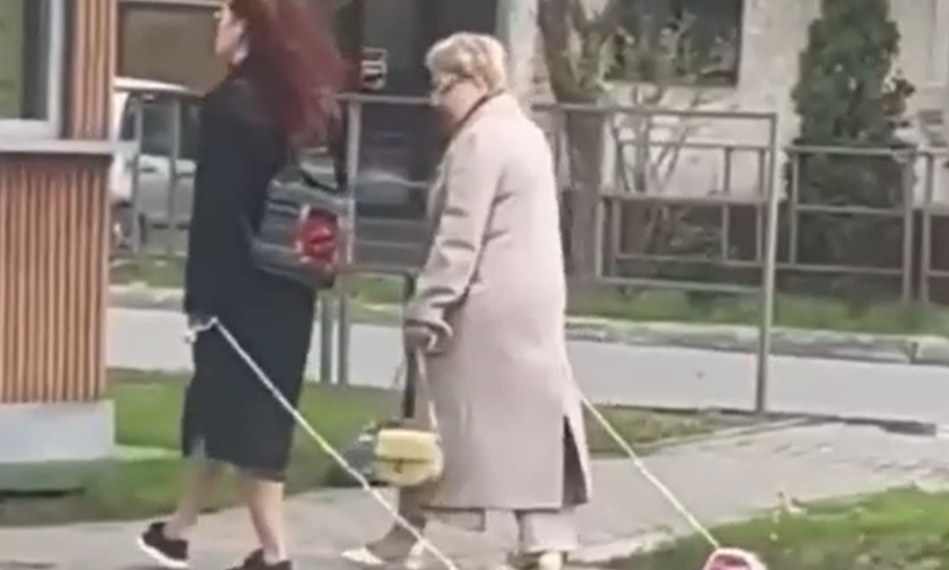 Женщины, выгуливавшие утюги в Анапе, пообещали придумать «что-то повеселее»