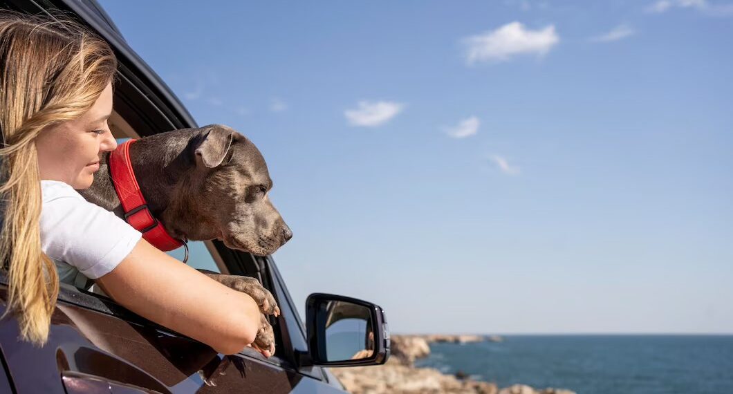 Сочи стал одним из самых популярных городов в РФ для отдыха с домашними животными