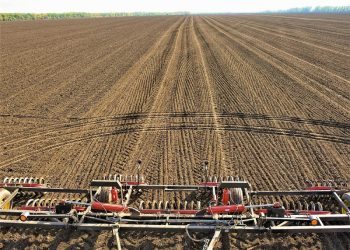 Посевная на Кубани завершилась более чем на 75%