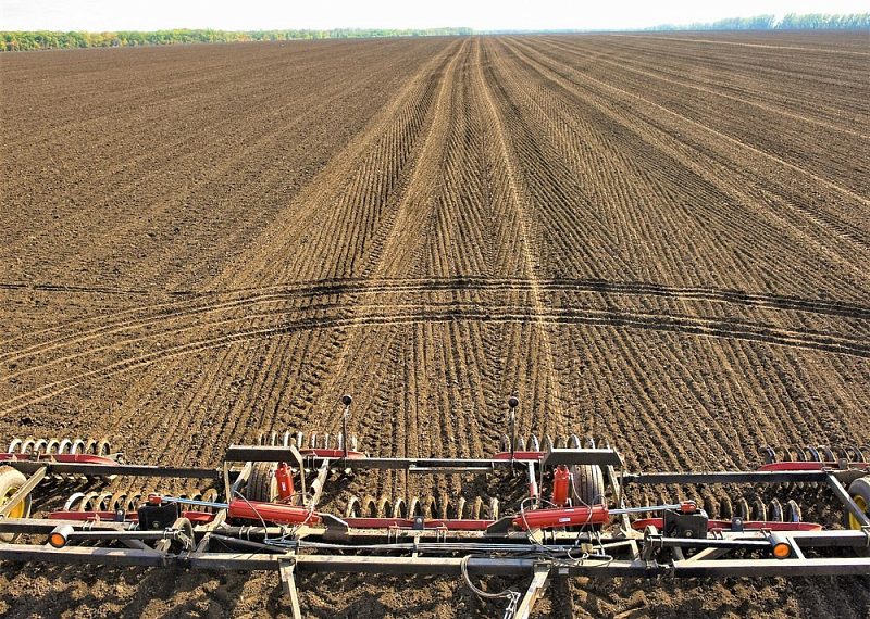 Посевная на Кубани завершилась более чем на 75%