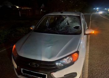 На Кубани «Лада» сбила 43-летнего мужчину