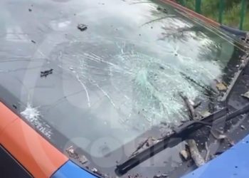 В Сочи дерево упало на припаркованный автомобиль