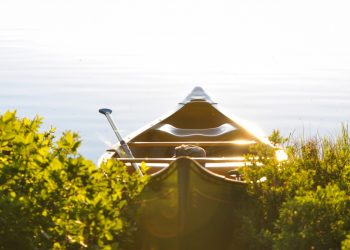 Пропавшие в Краснодаре школьники ночевали на лодочной станции