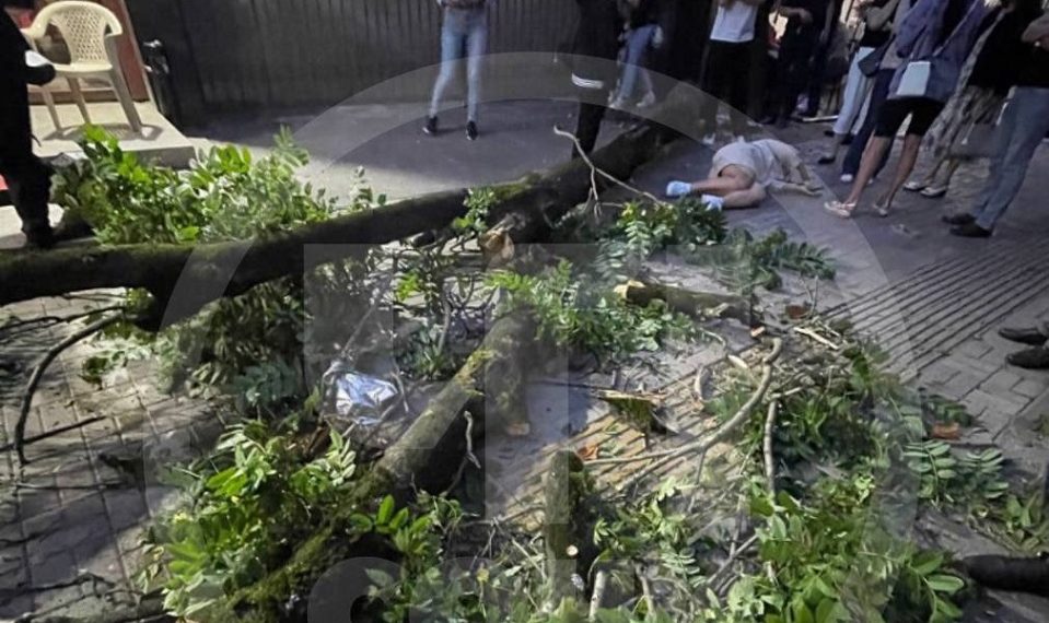 В Сочи дерево упало на женщину