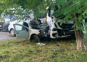 На Кубани водитель Renault врезался в грузовик и погиб