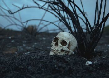 Было ли на Кубани кладбище у бандитов, подозреваемых в убийстве аниматоров Чубко и Мостыко