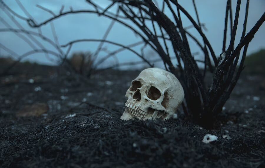 Было ли на Кубани кладбище у бандитов, подозреваемых в убийстве аниматоров Чубко и Мостыко