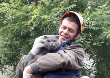 В Новороссийске спасли кота, просидевшего на дереве двое суток