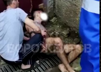 На Кубани полицейские проверили информацию об изнасиловании собаки