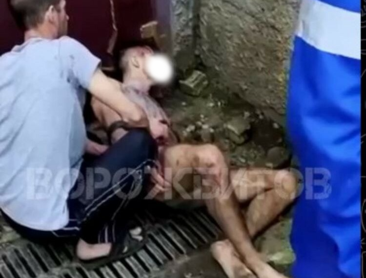 На Кубани полицейские проверили информацию об изнасиловании собаки