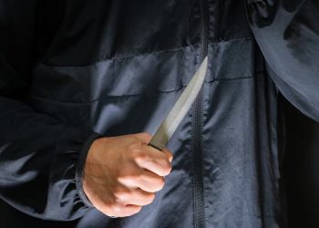 На Кубани от родственников предполагаемых убийц аниматоров Чубко и Мостыко прозвучало неожиданное заявление