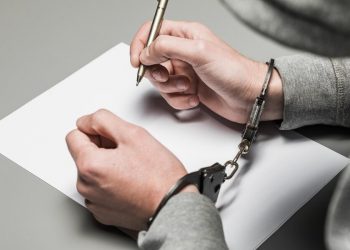 На Кубани следователи рассекретили новую информацию об убийстве аниматоров Чубко и Мостыко