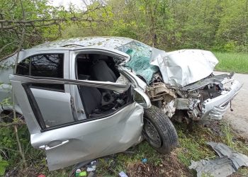 На Кубани иномарка врезалась в дерево: два человека в больнице