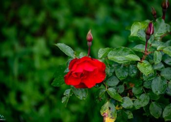 Синоптик Шувалов рассказал, когда наконец-то на Кубани выправится погода