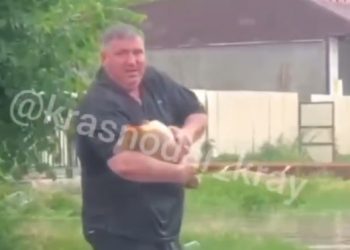 На подтопленной улице на Кубани мужчина голыми руками поймал сазана