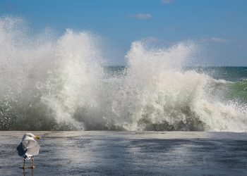 На Кубани объявили штормовое предупреждение из-за ветра до 23 м/с