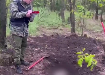 Исполосовали ножом и закопали в лесу: на Кубани обнаружено тело пропавшего аниматора