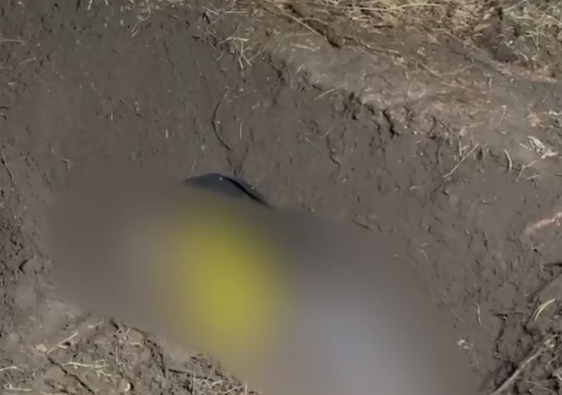 На Кубани СКР 4 мая сообщил, как убили и где нашли тело аниматора Татьяны Мостыко