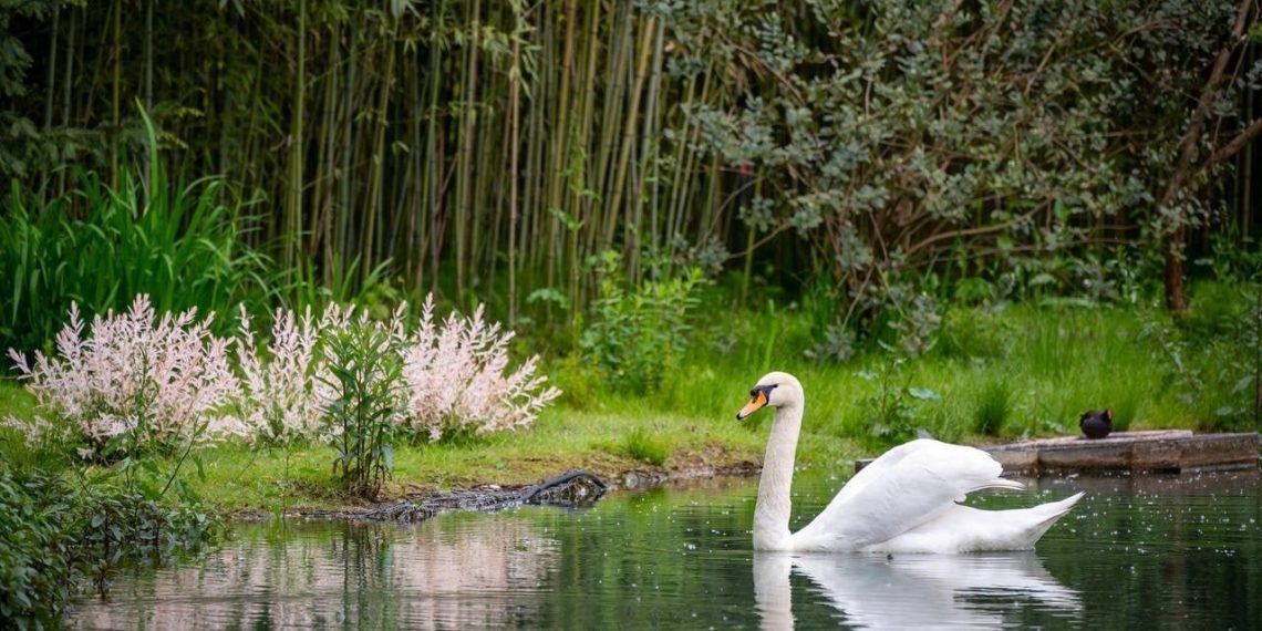 Синоптик: Хорошая погода на Кубани продлится практически всю неделю