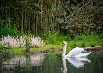 Синоптик: Хорошая погода на Кубани продлится практически всю неделю