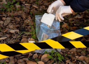 На Кубани стали известны подробности убийства 19-летней студентки-аниматора Мостыко