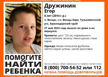 В Краснодарском крае пропал 8-летний ребенок с карими глазами