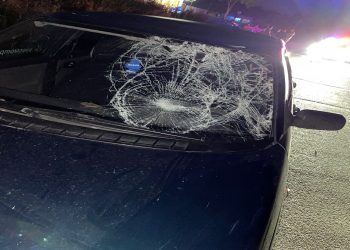 На Кубани ВАЗ сбил 57-летнего мужчину