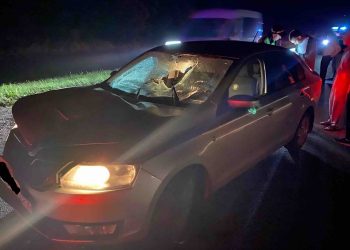 На Кубани пенсионер на иномарке насмерть сбил 32-летнего мужчину