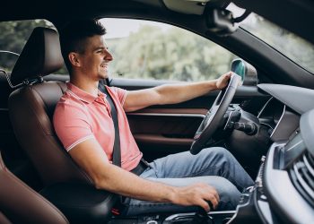 Проверка ИНН самозанятого на портале Himera Search