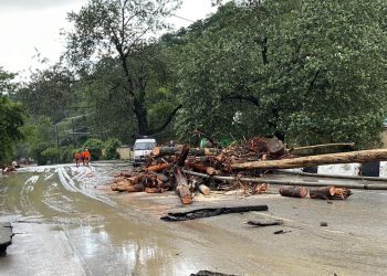 К ликвидации последствий непогоды в Сочи привлекли 184 человека