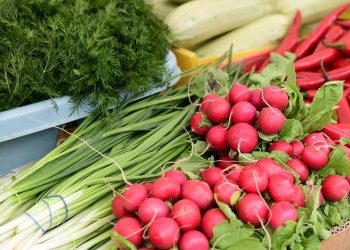 В Краснодаре открылись шесть ярмарок 24 июня