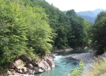 «За живого или мертвого»: родственники краснодарца, прыгнувшего в Адыгее в реку Белую, объявили крупное вознаграждение