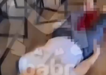 На Кубани мужчина пошел за опилками для кур и оказался разорван собаками