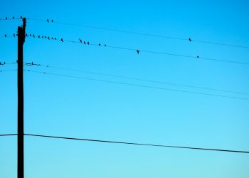 Узнали, где будут отключать свет в Сочи 14 и 15 июня 2023 года