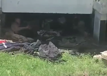 В Краснодаре в Юбилейном микрорайоне человек под балконами живет 8 лет