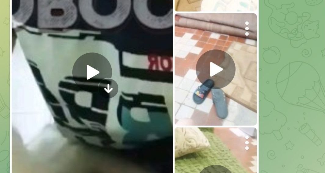 В Краснодарском крае полиция нашла девочку-живодерку, издевавшуюся над щенком в прямом эфире