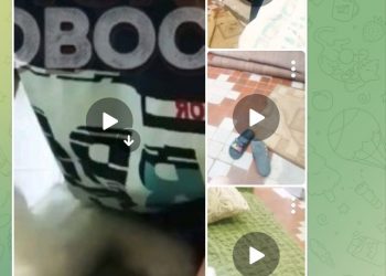 В Краснодарском крае полиция нашла девочку-живодерку, издевавшуюся над щенком в прямом эфире