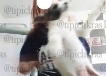 «Посмотрите на эту тварь»: кубанская полиция разыскивает девочку-живодерку