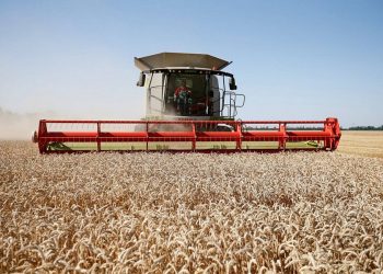На Кубани стартовала уборка зерновых