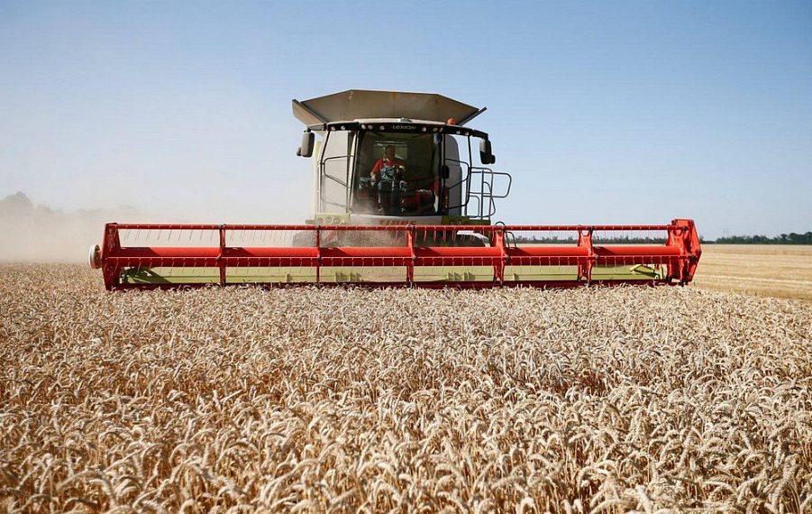 На Кубани стартовала уборка зерновых