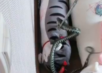 В одном из домов Новороссийска змея переполошила детскую комнату