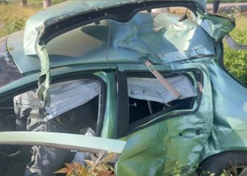 На Кубани Peugeot врезался в дерево: пострадал водитель