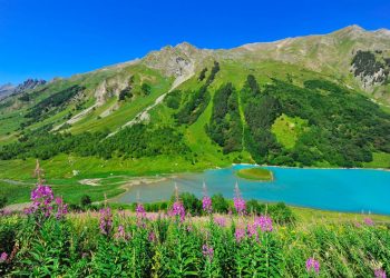 Копайгородский поздравил экологов с профессиональным праздником