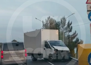 В Сочи Газель насмерть сбила лошадь