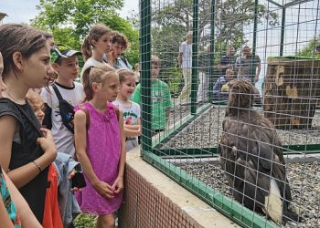 В Сочи открыли центр экологического просвещения