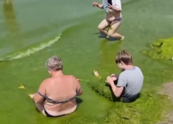 В Анапе Черное море превратилось в зеленую жижу. Есть ли опасность?