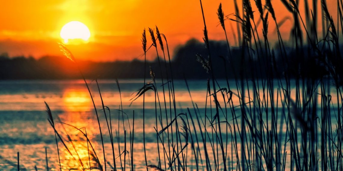 На Кубани утонул 13-летний мальчик