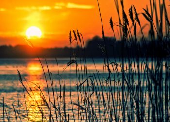 На Кубани утонул 13-летний мальчик