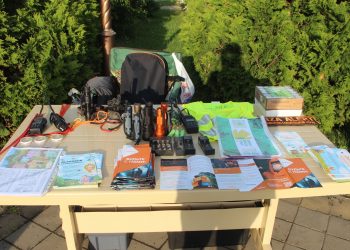 В полиции Краснодара раскрыли подробности поиска четырехлетнего ребенка