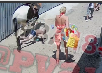 В Анапе ребенка сбила лошадь, у него серьезные травмы